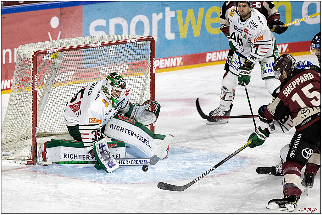 PENNY DEL;  Koelner Haie - Augsburger Panther; Koeln, 05.04.2021